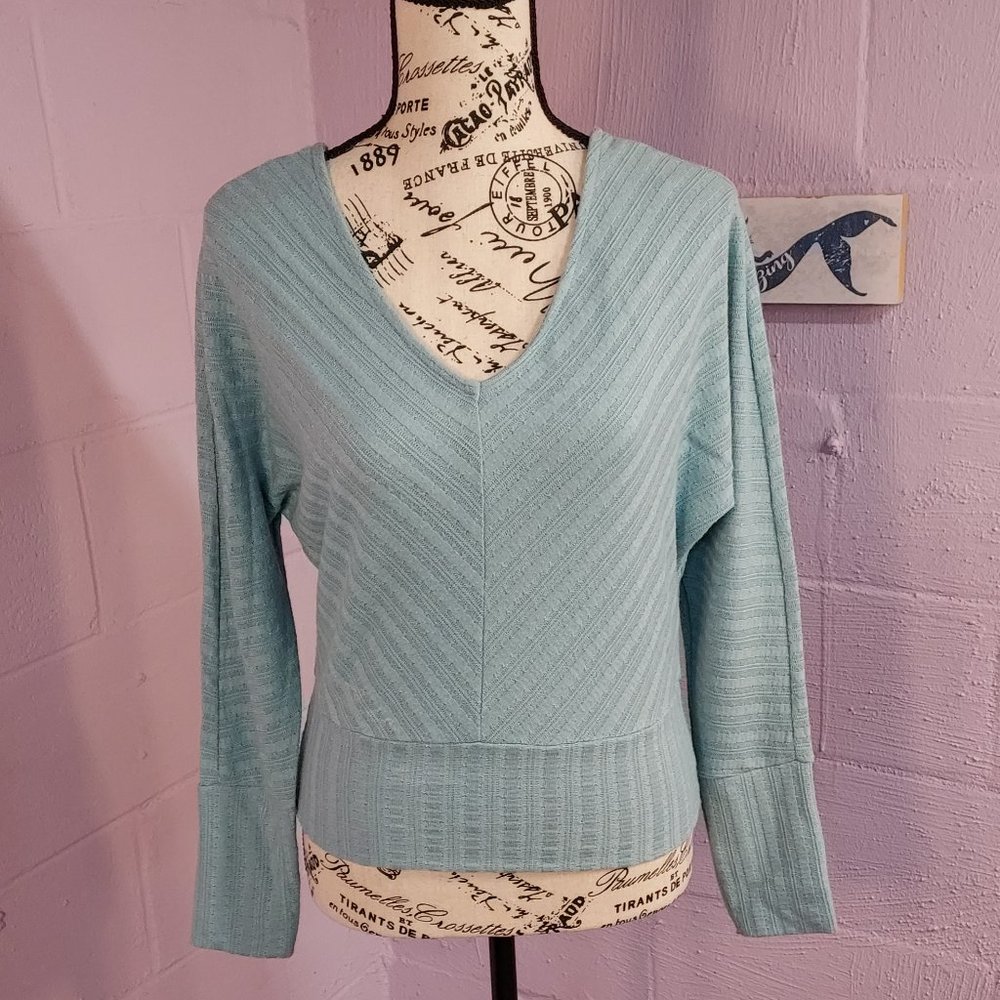 NWT Crave Fame Light Blue Sweater